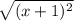 \sqrt{(x+1)^2}