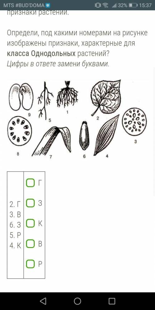 Рассмотри представленные на рисунке признаки растений. Определи, под какими номерами на рисунке изоб