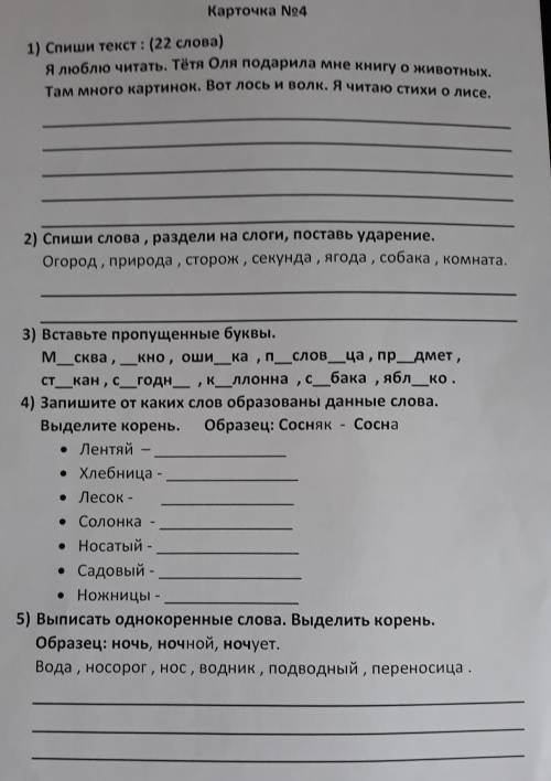 Русский язык 1 класс. Карточка №4