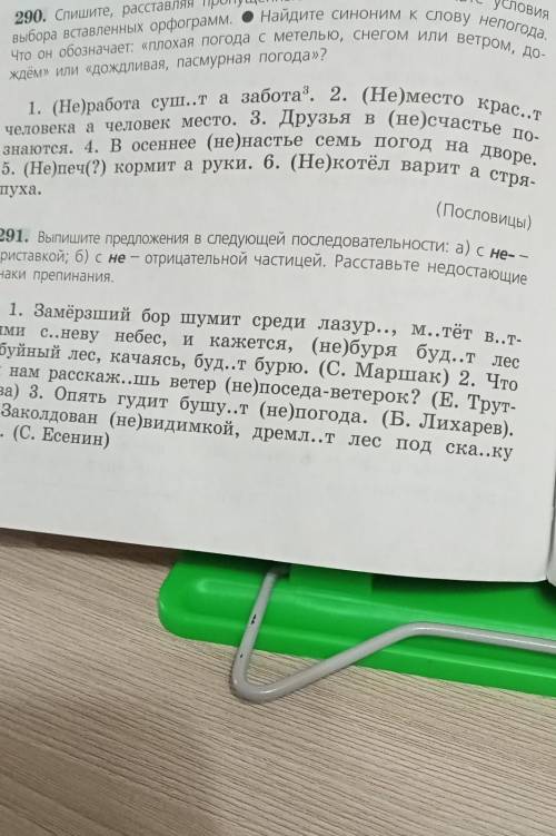 Русский язык Ладыженская 6 класс упр 291​