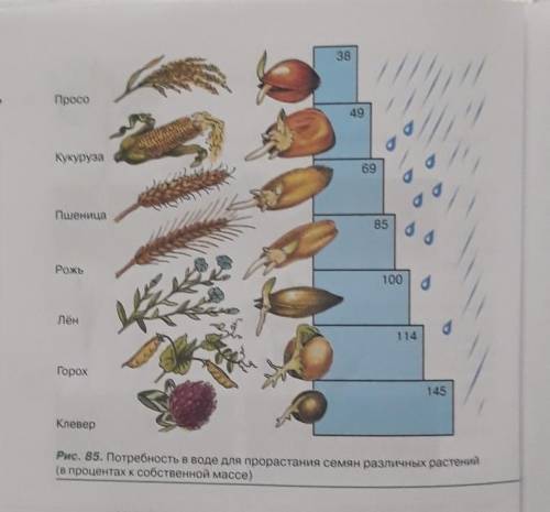 Нарисуйте таблицу к рисунку 85 потребность в воде для прорастания семян различных растений (в процен