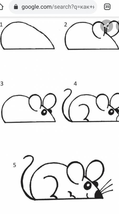 Как нарисовать мышь? Дайте ПОНЯТНУЮ схему порядка рисовки ​