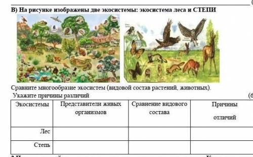 Представленная на рисунке агроэкосистема отличается от природной экосистемы тем что и