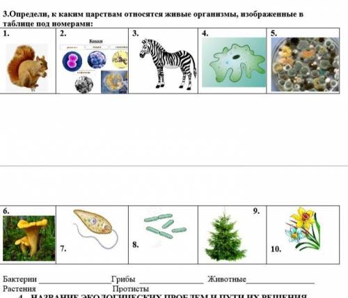 Какие царства живых организмов вам известны