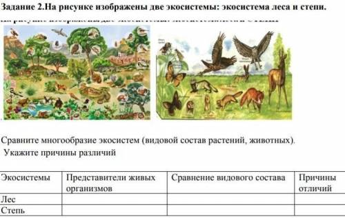 Изучите фрагмент экосистемы леса представленный на рисунке и выполните задания