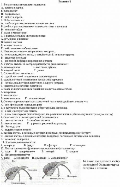 Лабораторная работа по биологии 6 класс почки. Контрольная работа по биологии 6 класс. Итоговая контрольная по биологии 6 класс. Итоговая годовая работа по биологии за 6 класс. Проверочная работа по биологии за 6 класс.