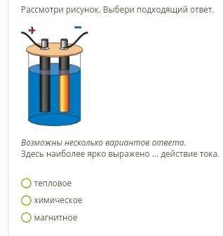 Рассмотри рисунок выбери подходящий ответ