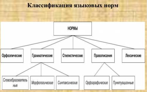 Как называется разновидность национального языка являющаяся образцом ответы на тест