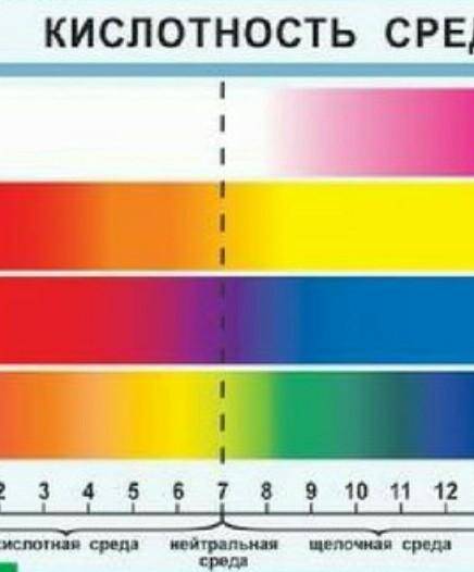 Кислотность среды клетки