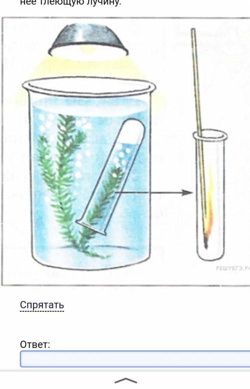 Определи по картинке какой процесс произойдет со льдом через некоторое время