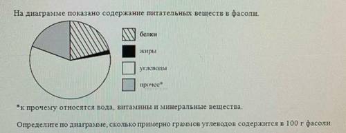 Определи примерно по диаграмме. На диаграмме показаны питательные вещества в фасоли. На диаграмме содержится питательных веществ в фасоли. Диаграмма питательных веществ фасоли. На диаграмме показано содержание питательных веществ в фасоли.