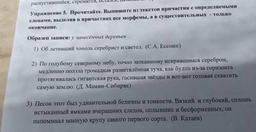 Прочитайте выписки ольги расположенные справа