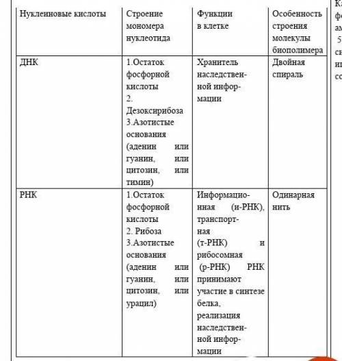 Составьте сравнительную таблицу страны средневековой азии. Составить сравнительную таблицу АДВ ДНК Эренка. Составьте сравнительную таблицу страны средневековой Азии 6 класс. Составить сравнительную таблицу, для сравнения 1 вариант кошек,. Как сделать таблицу по о ДНК О животных.