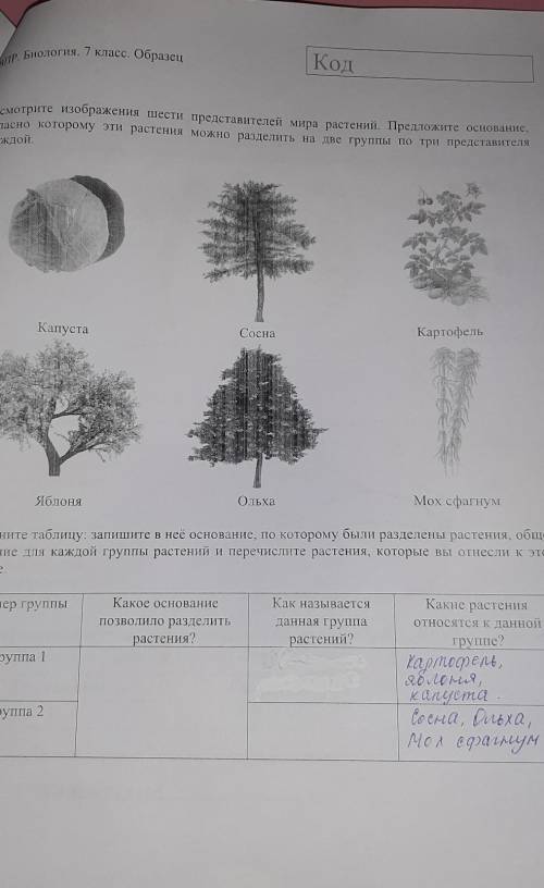 Рассмотрите фотографии с изображением различных объектов живой природы впр 7 класс биология