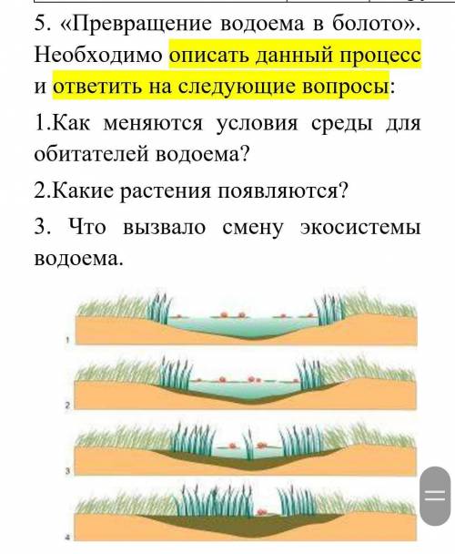 Необходимое болото. Пруд превратился в болото. Превращение водоема в болото. Превращение озера в болото этапы. Зарастание озера и превращение его в болото.