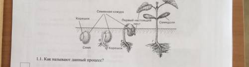 Назовите еще одно обязательное условие не указанное на рисунке чтобы данный процесс прошел успешно