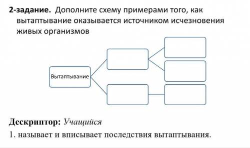 Дополните схему