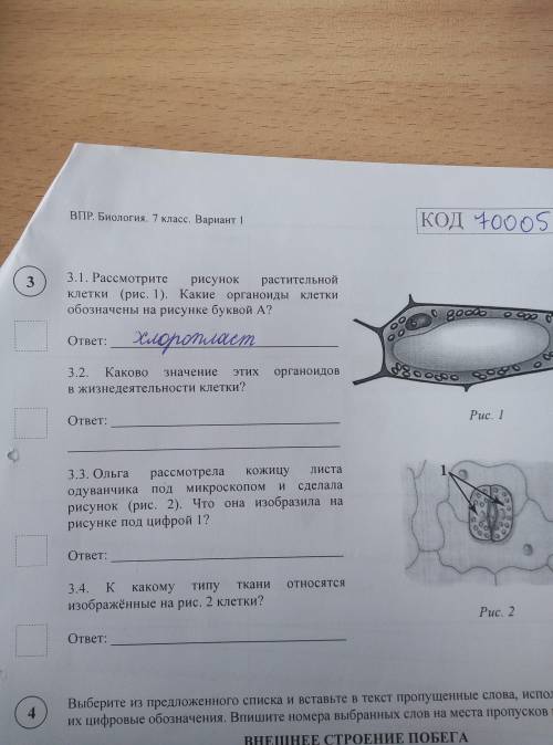 Впр по биологии 7 класс рассмотрите изображения различных объектов живой природы 1 вариант ответы