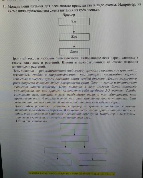 Модель цепи питания для степи можно представить в виде схемы например на схеме ниже представлена