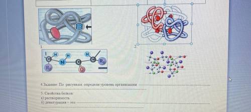 Биология 17. 2п2с в биологии. 2п4с что это биология. Биология с основами генетики и паразитологии Мехова. Биология Стонкс.