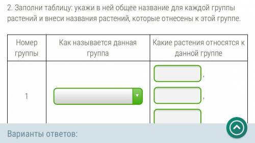 Рассмотри изображения шести представителей мира растений и выполни задания