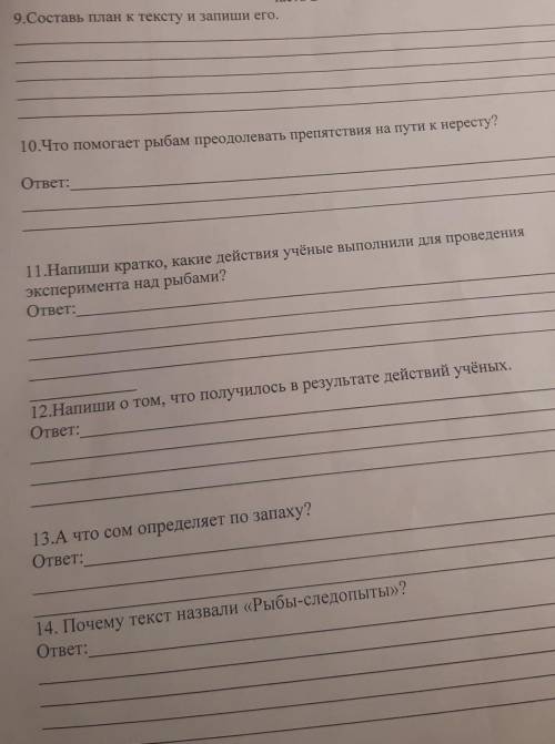 Рыбы следопыты план