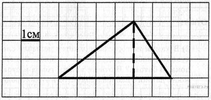 Найдите площадь прямоугольника треугольника изображенного на рисунке
