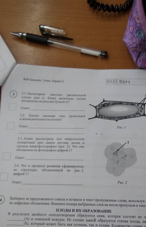 Образец по впр по биологии 8 класс