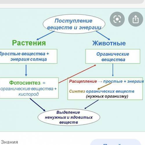 Дополни схему ученый профессор