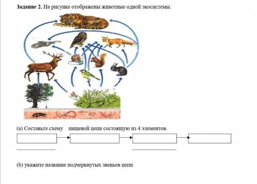 Лабораторная работа составление схем передачи веществ и энергии цепей