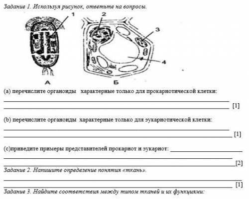 Биология задание 2. Практическая работа по биологии 10 класс. Пример 11 задание биология. Примеры дистанционных заданий по биологии. Задания закрытого типа по биологии.