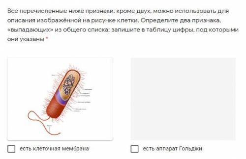 Признаки выпадающих. Определите два признака выпадающих из общего списка. Все перечисленные ниже признаки кроме 2 можно использовать. Используют для описания клетки изображенной на рисунке. Определите 2 признака выпадающих из общего списка и запишите.