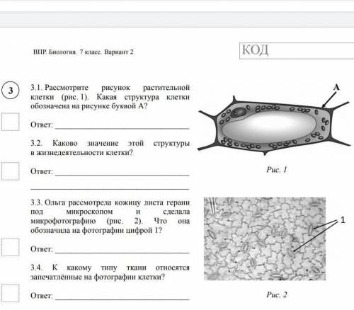 На диаграммах представлено содержание основных химических веществ в клетках растений и животных впр