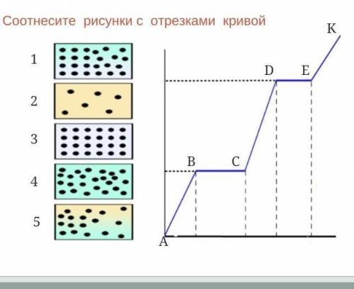 Соотнесите рисунок и вид торможения