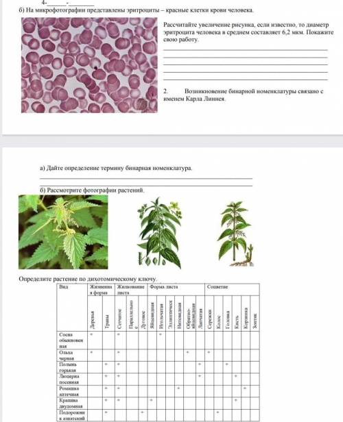 Увеличение клетки. Сравнение микрофотографий клеток растений. Задание по ОГЭ биология с эритроцитом. Решу ОГЭ биология 9 класс 2021 посмотрите на изображение эритроцитов. Рассмотрите микрофотографию. Какой термин соответствует сноске № 2 ?.