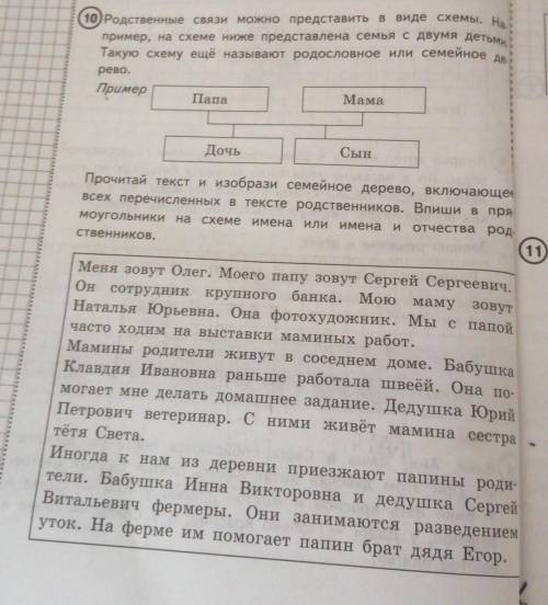 Родственные связи можно представить в виде схемы например на схеме ниже представлена семья с двумя