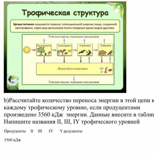 Изобразите схему пищевой цепи балтийского моря по которой может передаваться ддт