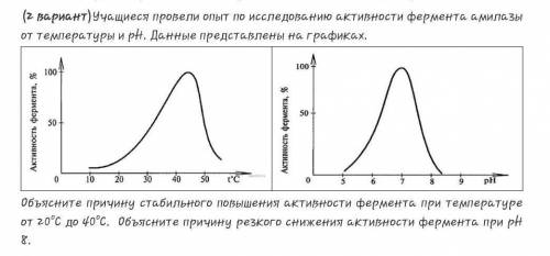 Ученик провел исследования зависимости. Температура активности ферментов амилаза. Влияние температуры и РН на активность Альфа-амилазы. Альфа амилаза активность фермента при PH. Активность альфы амилазы график.