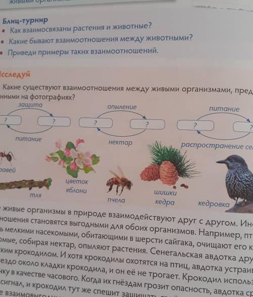 Установи соответствие между живыми организмами. Между живыми организмами благодаря. С помощью линий установите взаимоотношения между живыми организмами. Какие взаимоотношения между живыми организмами осенью. Между живыми организмами благодаря а существуют.