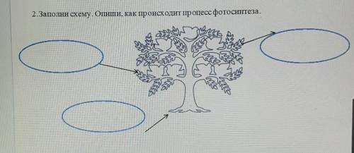 Кому хотел помочь солнечный луч заполните схему 3 класс