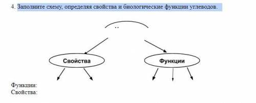 Заполните схему функции городов