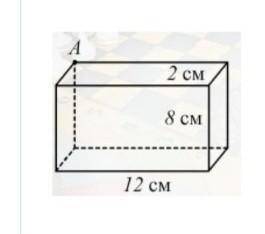 На рисунке 82 изображен прямоугольный параллелепипед mdfekpcn укажите