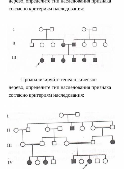 По схеме родословной определите тип наследования