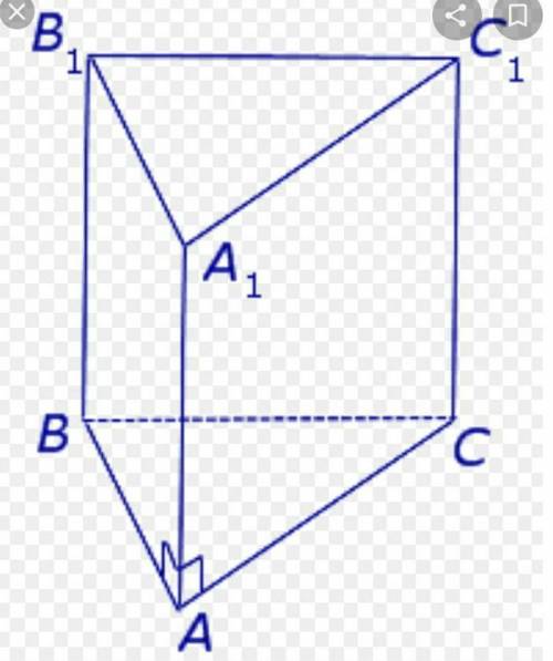 Прямая призма в основании прямоугольный треугольник рисунок