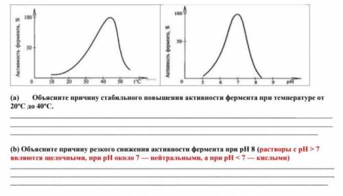 Активность фермента амилазы. Влияние РН И температуры на активность фермента слюны - амилазы. При понижении температуры активность ферментов. Амилаза слюны PH график. Влияние величины РН на активность амилазы опыт.