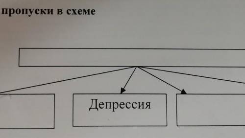 Заполните пропуски в схеме ответ