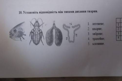 Биология 47. Встановіть відповідність між тваринами та покривамичленистоногі.