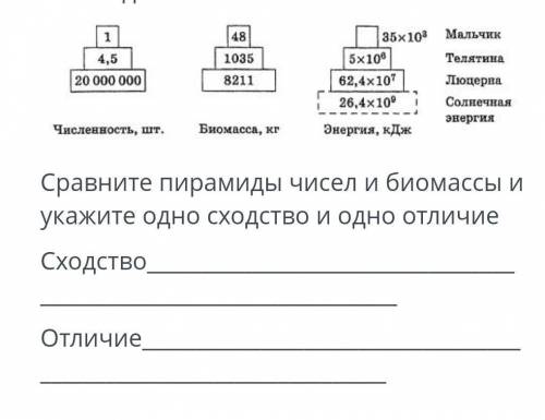 Запиши одно сходство и одно различие рисунков а и б 4 класс