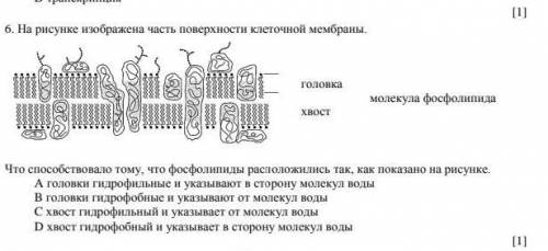 Ответы по биологии 10 класс. Биология 10 класс ЕМН 3 четверть 3 неделя урок 2.