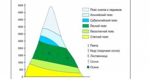 Первый высотный пояс в гор в схеме высотной поясности всегда соответствует